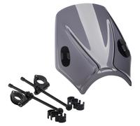 Puig 20702F Carenabris Mito Ahumado Oscuro