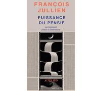 Puissance du pensif: Ou comment pense la littérature