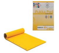 Pukka Dyslexia Bloc-notes A4 de 80 g/m ²-Ligné avec marge - 100 Pages-Couleur: Or