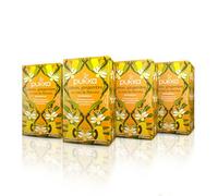 Pukka Infusion Bio Citron, Gingembre et Miel de Manuka Infusion Biologique et Ayurvédique, Issue du Commerce Equitable 80 Sachets (Lot de 4x20 Sachets)