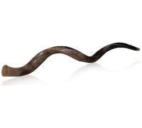 Pulido Kudu Shofar de cuerno con colores naturales