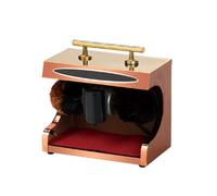 Pulidora automática de zapatos con reposabrazos para una limpieza sin esfuerzo en el vestíbulo del hogar y hotel