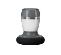 Pulidora de cera inalámbrica para coche, motor de doble velocidad de 4000 rpm, 6 almohadillas de repuesto, negro/gris