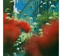 Pulled Apart By Horses - The Haze [Vinilo]