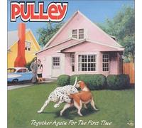 Pulley - Together Again for the...