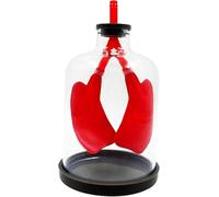 Pulmón humano anatómico 3D, modelo de sistema respiratorio pulmonar de órgano humano, modelo de respiración pulmonar for clase de biología, visualización de anatomía médica