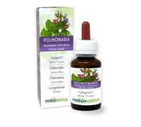 Pulmonaria (Pulmonaria officinalis) hierba con flores Tintura Madre sin alcohol Naturalma - Extracto líquido gotas 60 ml - Complemento alimenticio - Vegano
