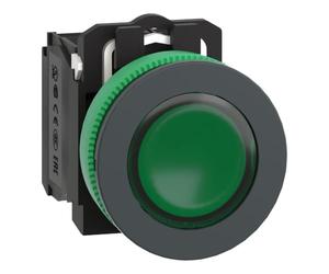PULS.FLUSH LUM.VERDE LED 24V AC 1NA 1NC