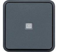 Pulsador con indicador luminoso, gris