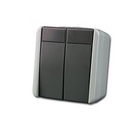 Pulsador doble fontana, gris 250V~/10A, montaje en superficie, IP44
