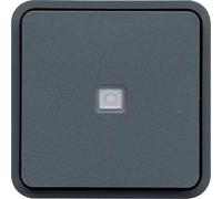 Pulsador inversor con indicador luminoso, gris