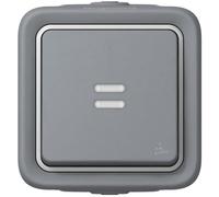 Pulsador NA luminoso plexo monobloc de superficie 10 A IP55, color gris, 5,7 x 8 x 7,8 centímetros (referencia: Legrand 69722)