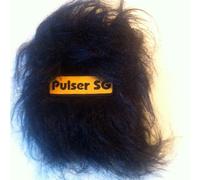 Pulser Sg - Primus Inter Pares [Import]