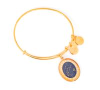 Pulsera alex and ani mujer alex and ani a15eb63yg 20cm