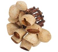 Pulsera de Campana Africana de Cáscara de Nuez para Percusión Manual | Ligera y Portátil, Sonido Claro y Vibrante, Uso Manos Libres para Yoga y Viaje