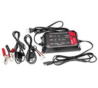PulseTech XC450 Xtreme Charge - Cargador de batería inteligente de 4 amperios, cargador de goteo | Prueba, carga, acondiciona y mantiene todas las baterías de 6 V/12 V: ácido de plomo, LiFeP04, litio,