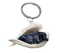 pulunto Lindo colgante de perro de ángel dormido, perro acrílico que duerme en alas de ángel modelo colgante llavero colgante para decoración de papelería del hogar, interior del automóvil