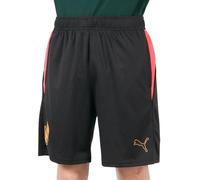 PUMA 659217 Neymar JR COPA - Pantalones cortos de fútbol para hombre, 24 Primavera Verano Color Puma Black/Sunset Glow (01), L