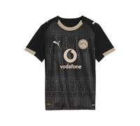 PUMA Borussia Dortmund e Erde - Camiseta para niños 2025/2026, color negro, 140 niños