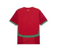 PUMA Camiseta 1.ª equipación Marruecos 2025 para hombre, Ropa, Rojo, L L