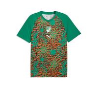 PUMA Camiseta de calentamiento Costa de Marfil para hombre, Accesoiros, Verde, M