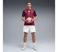 PUMA Camiseta de calentamiento República Checa para hombre, Accesoiros, Rojo, L L