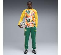 PUMA Camiseta de calentamiento Senegal semiajustada con cuello con cremallera para hombre, Accesoiros, Amarillo, L L