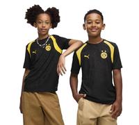 PUMA Camiseta de entrenamiento Borussia Dortmund juvenil, Accesoiros, Negro, 11-12Y