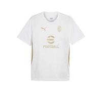 Puma Camiseta de Entrenamiento de competición, Temporada 2024/25, tecnología dryCell, Ajuste Regular Unisex - Adulto