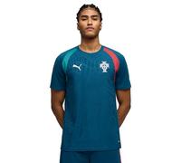 PUMA Camiseta de Entrenamiento FPF