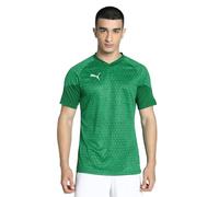 Puma Camiseta de Entrenamiento Teamcup, Hombre, Verde Pimienta, 3XL