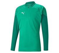 PUMA Camiseta de Entrenamiento Teamcup para Hombre con Cremallera 1/4 de Ajuste Slim Fit