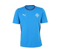 PUMA Camiseta de fútbol 'Island 2026' navy / azul real / blanco L navy / azul real / blanco