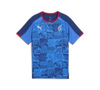 PUMA Camiseta de fútbol Neymar Jr Playmaker Niño 176, Blazing Blue White Ultra