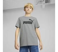 PUMA Camiseta de manga larga. Color gris