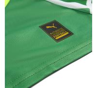 PUMA Camiseta de portero Manchester City 24/25 juvenil, Ropa, Grassy Verde/Amarillo Alert, 9-10Y 9-10Y