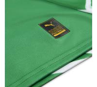 PUMA Camiseta de portero Manchester City 24/25 para hombre, Sport, Grassy Verde/Amarillo Alert, M M