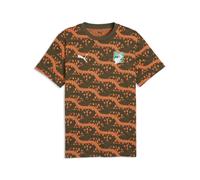 PUMA Camiseta estampada ftblCulture Costa de Marfil para hombre, Accesoiros, Verde, S