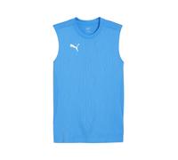 PUMA teamFINAL Training Jersey SL, tee,