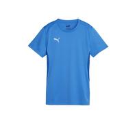 PUMA Camiseta funcional 'Team Goal' azul / blanco XS azul / blanco