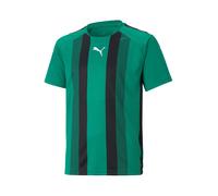 PUMA Camiseta funcional 'Team Liga' verde / negro / blanco 164 verde / negro / blanco