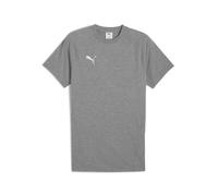 PUMA Camiseta funcional 'TeamEvostripe' gris / blanco L gris / blanco