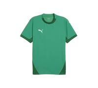 PUMA Camiseta funcional 'TeamFinal' pino / verde oscuro / blanco XXL pino / verde oscuro / blanco