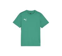 PUMA teamGOAL Trikot Kids gruenweissgruen 128