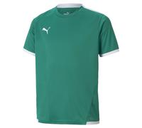 PUMA Camiseta funcional 'TeamLIGA' esmeralda / blanco, Talla 140