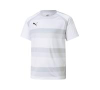 PUMA Camiseta funcional 'TeamVision' gris / greige / gris claro / negro 176 gris / greige / gris claro / negro