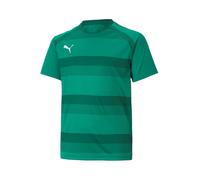 PUMA Camiseta funcional 'TeamVision' verde / verde oscuro / blanco 116 verde / verde oscuro / blanco