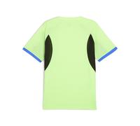 PUMA Camiseta individualLIGA para hombre, Ropa, Amarillo, S S