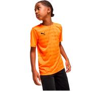 Puma - Camiseta Individualrise Graphic Jersey Niño, Unisex, Heat Fire-Black, 140 cm