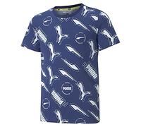 Puma Camiseta Marca Modelo Alpha AOP tee B